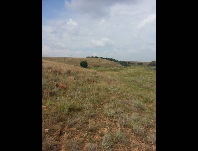 1,939HA FARM FOR SALE IN LEEUPORT